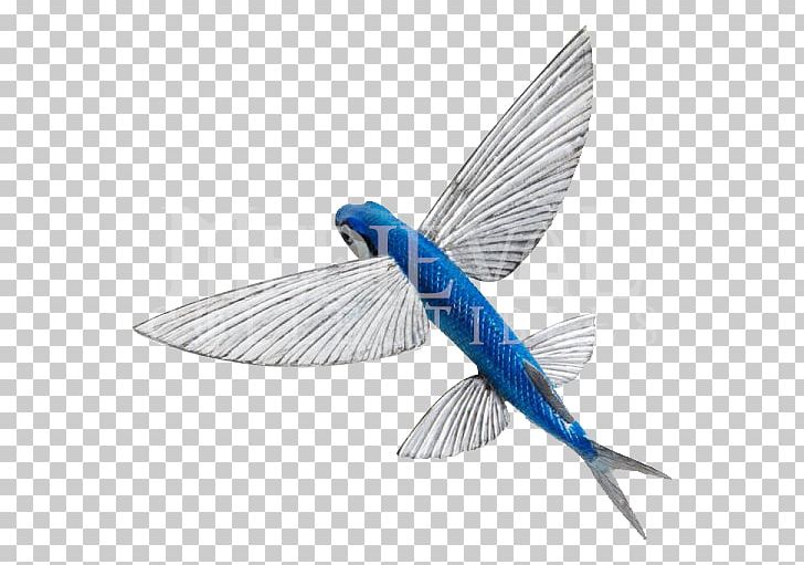 Fish Anatomy Atlantic Flyingfish Animal Figurine Blue Flying Fish PNG, Clipart, Animal, Animal Figurine, Animals, Bird, Despicable Me Free PNG Download