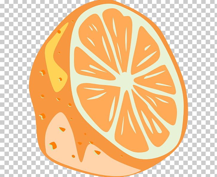 Lime Mojito Lemon PNG, Clipart, Area, Artwork, Circle, Citrus, Commodity Free PNG Download