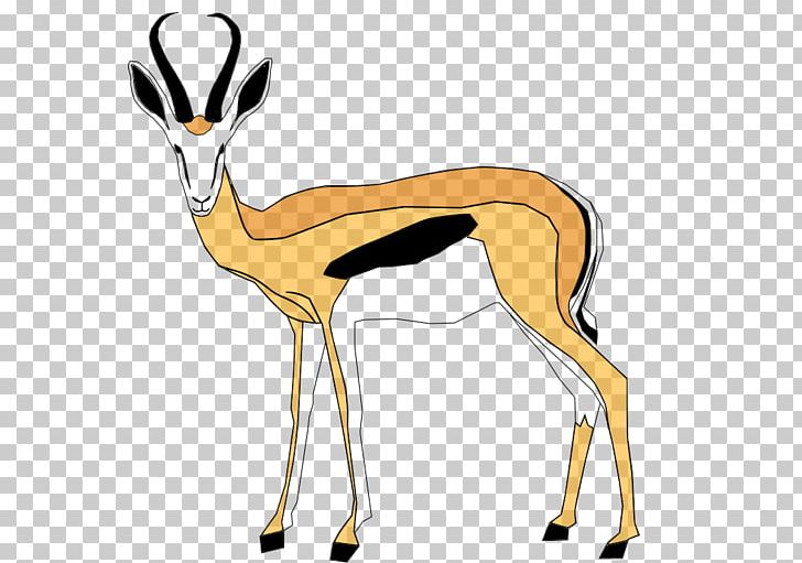 Springbok Gazelle Gemsbok Antelope Kalahari Desert PNG, Clipart, Animal, Animals, Antelope, Antidorcas, Antilopinae Free PNG Download