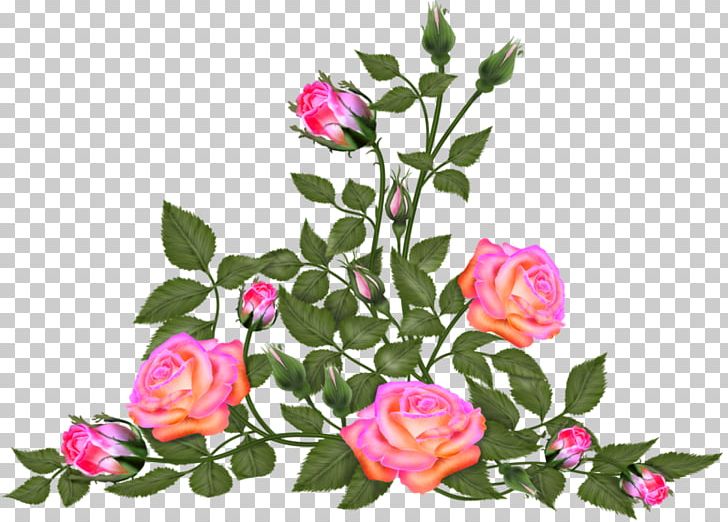 Garden Roses Flower Floral Design Centifolia Roses PNG, Clipart, Annual Plant, Centifolia Roses, Cut Flowers, Floral Design, Floristry Free PNG Download