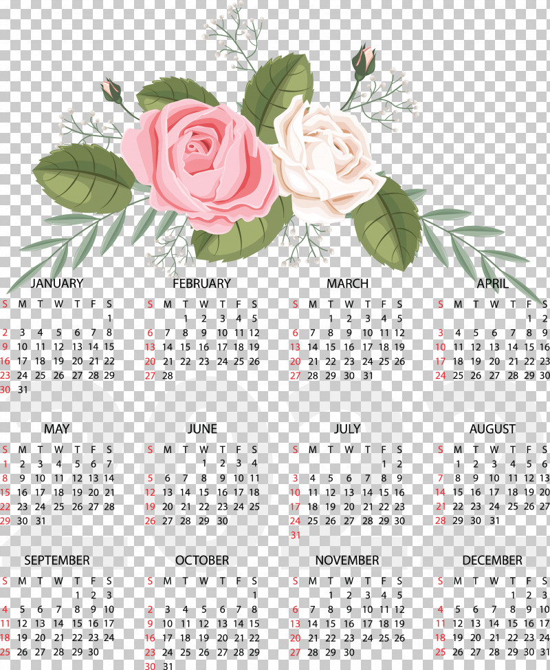 Floral Design PNG, Clipart, Biology, Calendar, Floral Design, Meter, Plant Free PNG Download