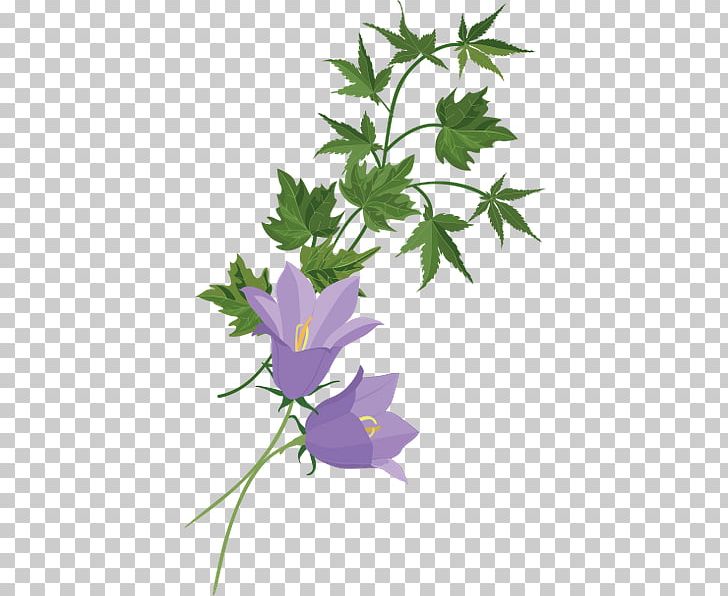 Flower Plant Stem PNG, Clipart, Branch, Clip Art, Flora, Flower, Flowering Plant Free PNG Download
