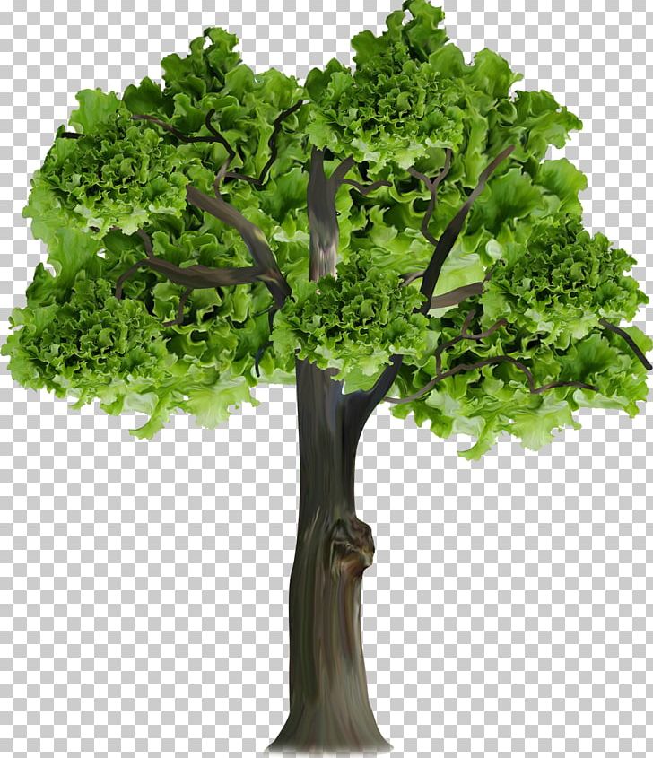 Tree Branch Painting Mixed Media PNG, Clipart, Arama, Arbre, Branch, Course, Flower Free PNG Download