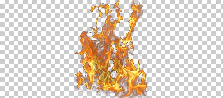 Fire PNG, Clipart, Fire Free PNG Download