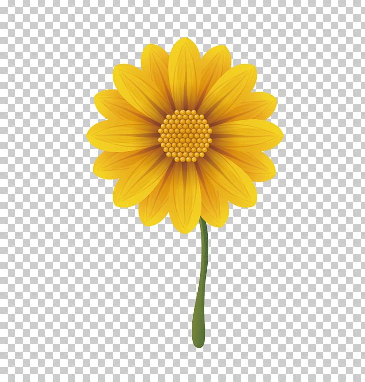 Gerbera Jamesonii Common Daisy Chrysanthemum PNG, Clipart, Calendula, Chrysanths, Common Sunflower, Coral Pink, Daisy Family Free PNG Download