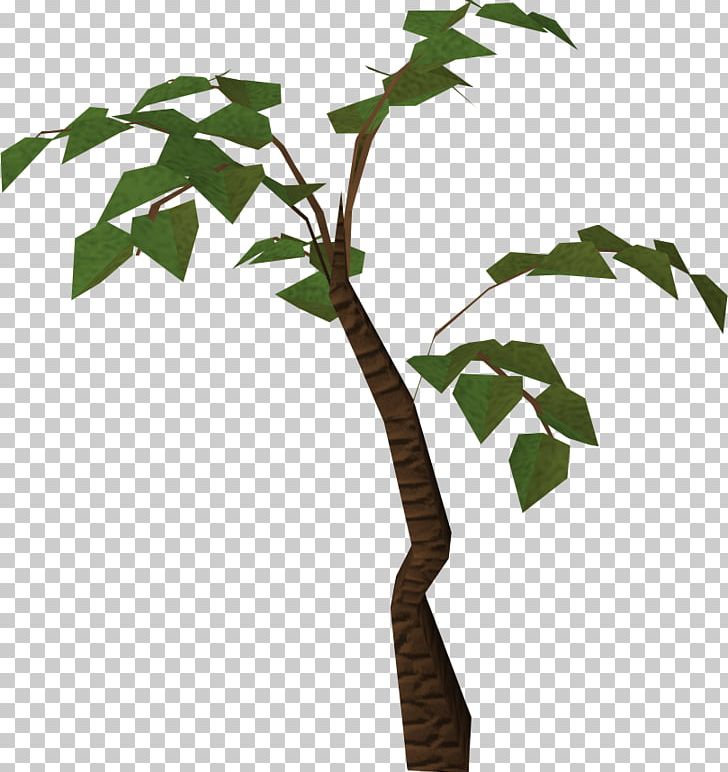 Tree Jungle PNG, Clipart, Branch, Display Resolution, Drawing, Flora, Jungle Free PNG Download