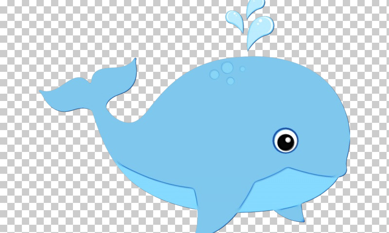Cartoon Blue Whale Whales Drawing Dolphin PNG, Clipart, Blue Whale,  Caricature, Cartoon, Cetaceans, Dolphin Free PNG