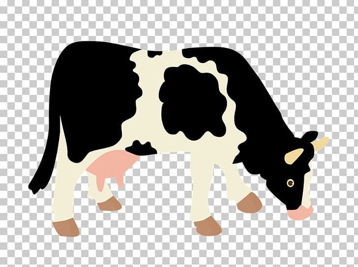 Angus Cattle Charolais Cattle Holstein Friesian Cattle Ox Dairy Cattle PNG, Clipart, Angus Cattle, Background, Carnivoran, Cattle, Cattle Like Mammal Free PNG Download