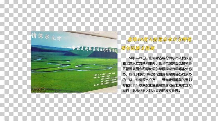 Brand Product 48th Parallel North Latitude Water PNG, Clipart, Brand, Energy, Grass, Green, Health Free PNG Download