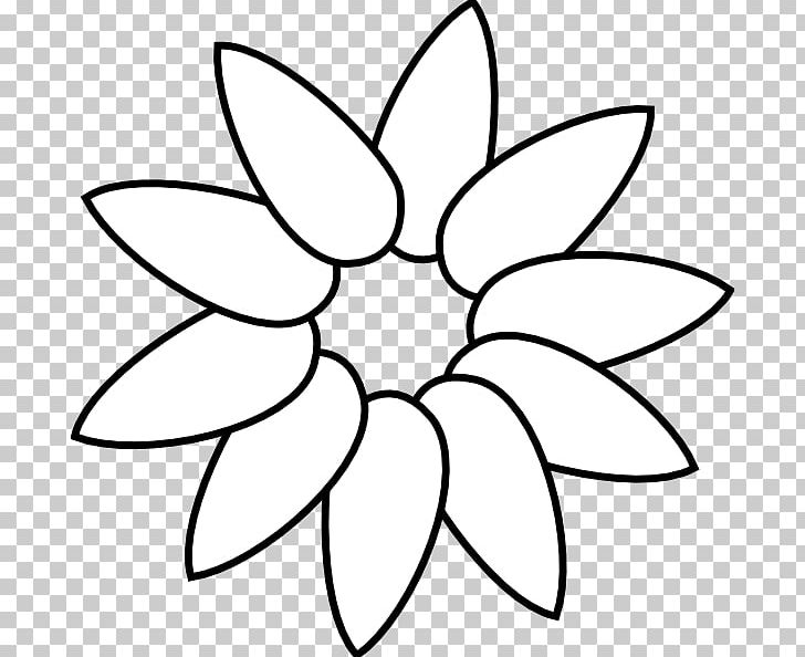 Common Sunflower Petal Drawing PNG, Clipart, Area, Art, Artwork, Black And White, Botanical Illustration Free PNG Download