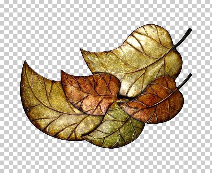 Leaf RGB Color Model PNG, Clipart, Autumn, Autumn Clipart, Branch, Brown, Color Free PNG Download