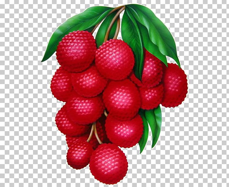 Lychee Fruit Food PNG, Clipart, Accessory Fruit, Auglis, Berry, Cartoon, Cherry Free PNG Download