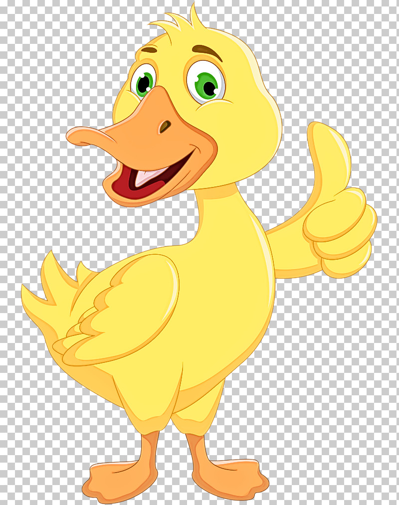 Cartoon Duck Ducks, Geese And Swans Yellow Bird PNG, Clipart, Beak, Bird, Cartoon, Duck, Ducks Geese And Swans Free PNG Download