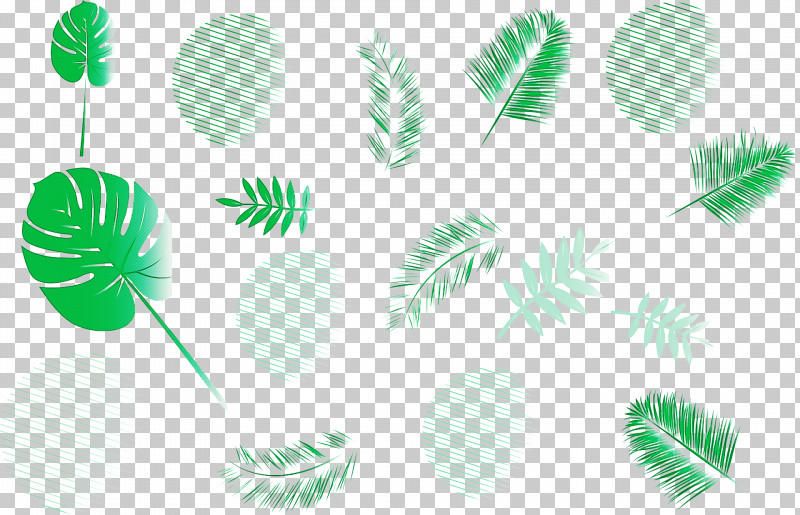 Feather PNG, Clipart, Biology, Feather, Green, Leaf, Line Free PNG Download