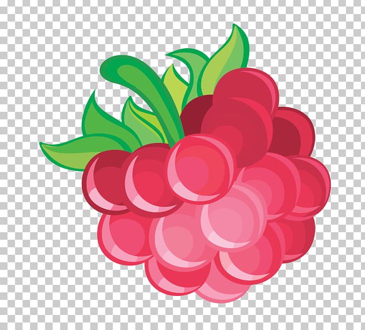 Frutti Di Bosco Red Raspberry PNG, Clipart, Android, Cartoon, Download, Encapsulated Postscript, Floral Design Free PNG Download