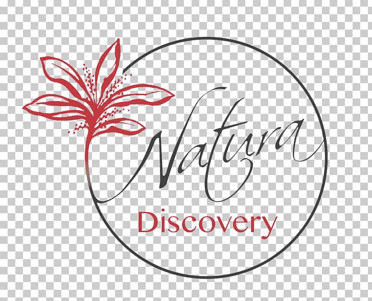 Natura Discovery Bora Bora Logo Island Lagoon Jeep PNG, Clipart, Area, Artwork, Bora Bora, Brand, Calligraphy Free PNG Download