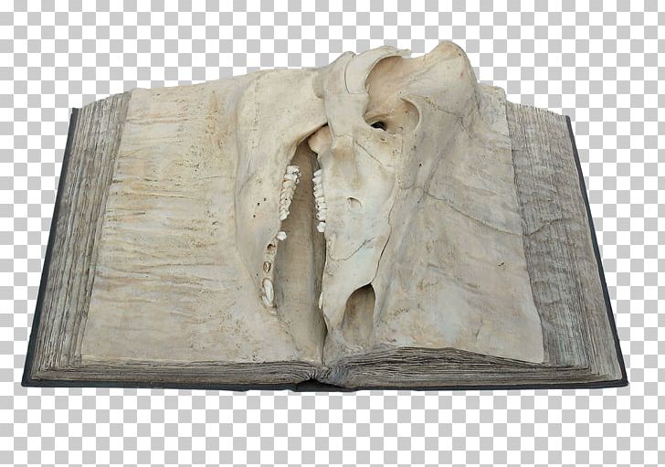 Sculpture Stone Carving Wood /m/083vt PNG, Clipart, Carving, Fur, M083vt, Nature, Relief Free PNG Download