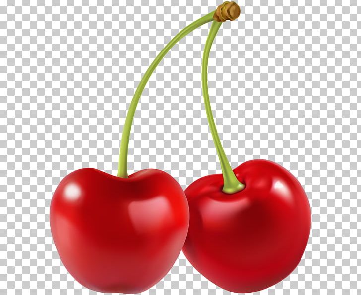 Sour Cherry Fruit PNG, Clipart, Art, Berry, Bing Cherry, Cherry, Cherry Tomato Free PNG Download