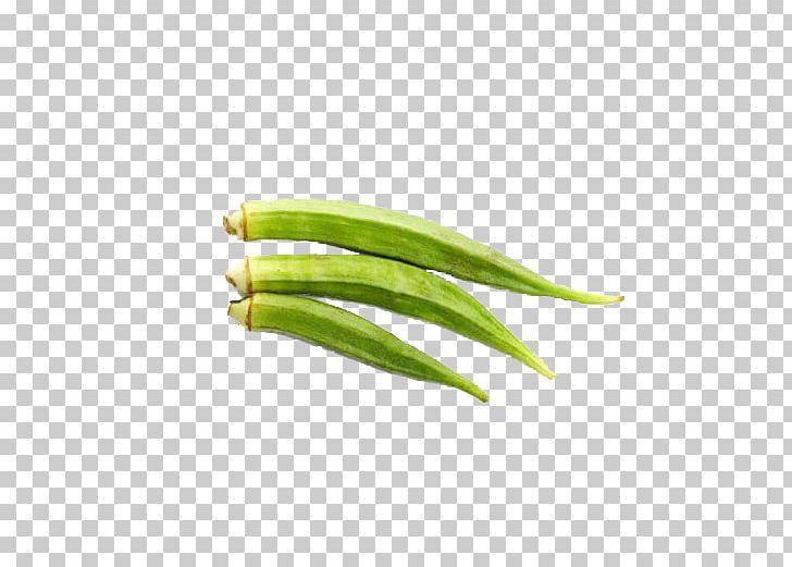 Vegetarian Cuisine Gumbo Okra Vegetable Ingredient PNG, Clipart, Allium Fistulosum, Commodity, Crop, Cultivar, Food Free PNG Download