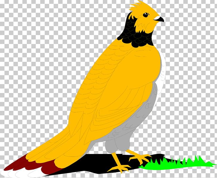 Bird Ruffed Grouse English Setter PNG, Clipart, Animals, Beak, Bird, Bird Of Prey, Download Free PNG Download