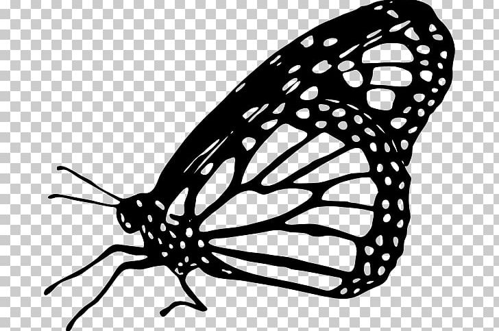 Monarch Butterfly Drawing PNG, Clipart, Arthropod, Black And White, Brush Footed Butterfly, Butterfly, Color Free PNG Download