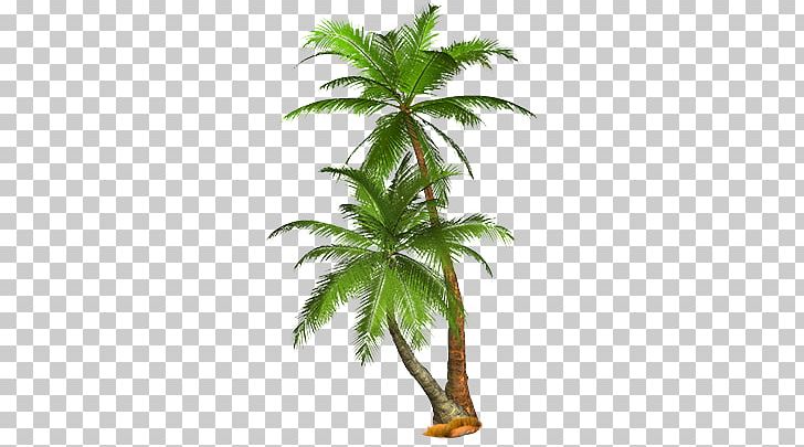 Palm Tree PNG, Clipart, Palm Tree Free PNG Download