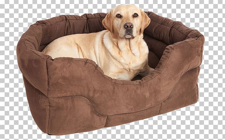 Dog Grooming Puppy Bed Pet PNG, Clipart, Bedding, Bolster, Bread Pan, Cat, Comfort Free PNG Download