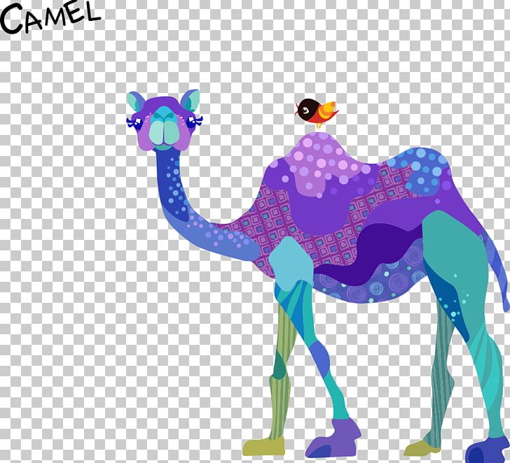 Dromedary Bactrian Camel Drawing Cartoon PNG, Clipart, Animal, Animal Illustration, Animals, Arabi, Camel Vector Free PNG Download