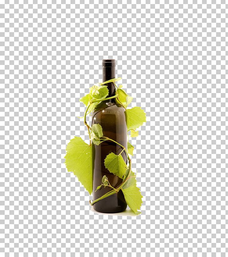 Red Wine Prosecco Beer Common Grape Vine PNG, Clipart, Beer, Bottle, Cup, Food Drinks, Glass Bottle Free PNG Download