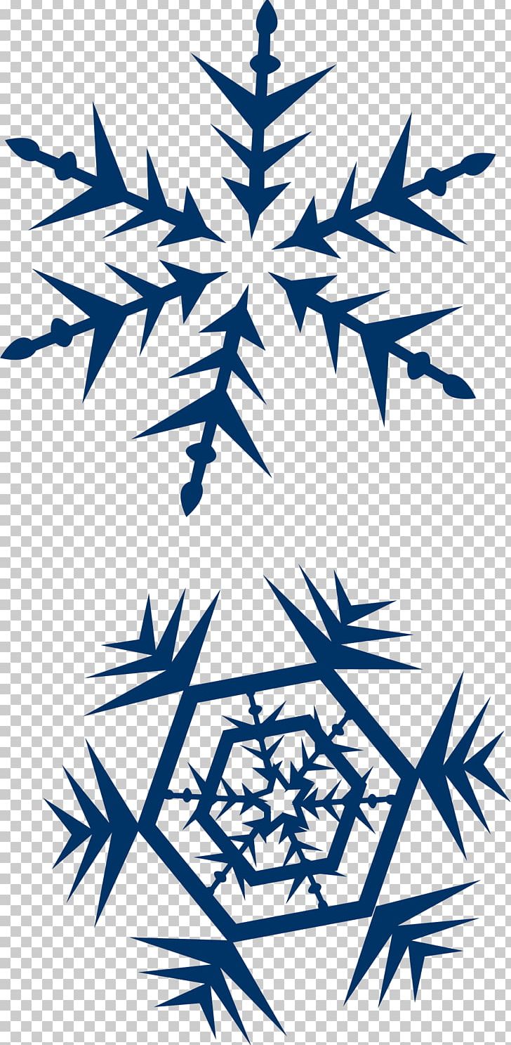 Snowflake PNG, Clipart, Black And White, Blue, Branch, Computer Icons, Crystal Free PNG Download