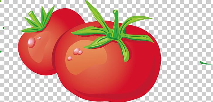 Vegetable Tomato Fruit Vecteur PNG, Clipart, Bell Pepper, Carrot, Cartoon, Cherry Tomato, Diet Free PNG Download