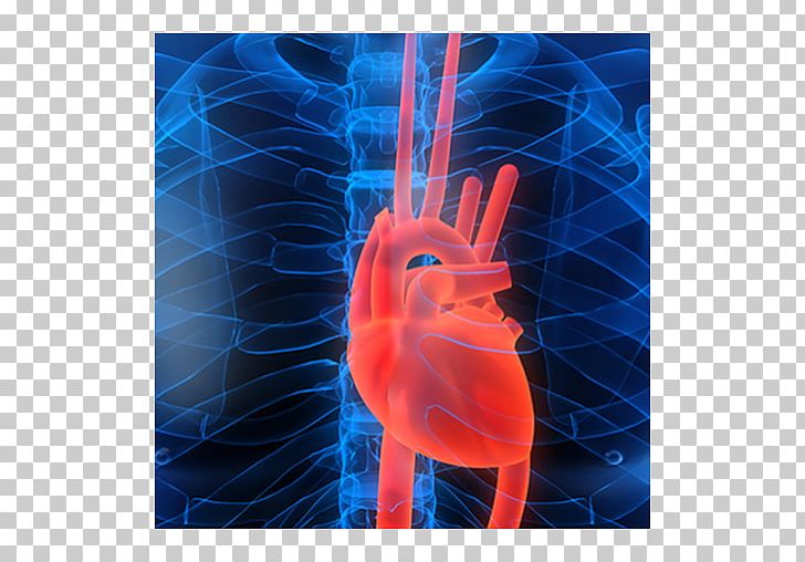 Cardiovascular Disease Cardiology Cardiac Imaging Heart Acute Myocardial Infarction PNG, Clipart, Acute Myocardial Infarction, Apk, App, Art, Blue Free PNG Download