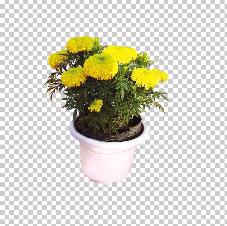 Flowerpot Plant Garden Greening PNG, Clipart, Artificial Flower, Bonsai, Chrysanths, Cut Flowers, Download Free PNG Download