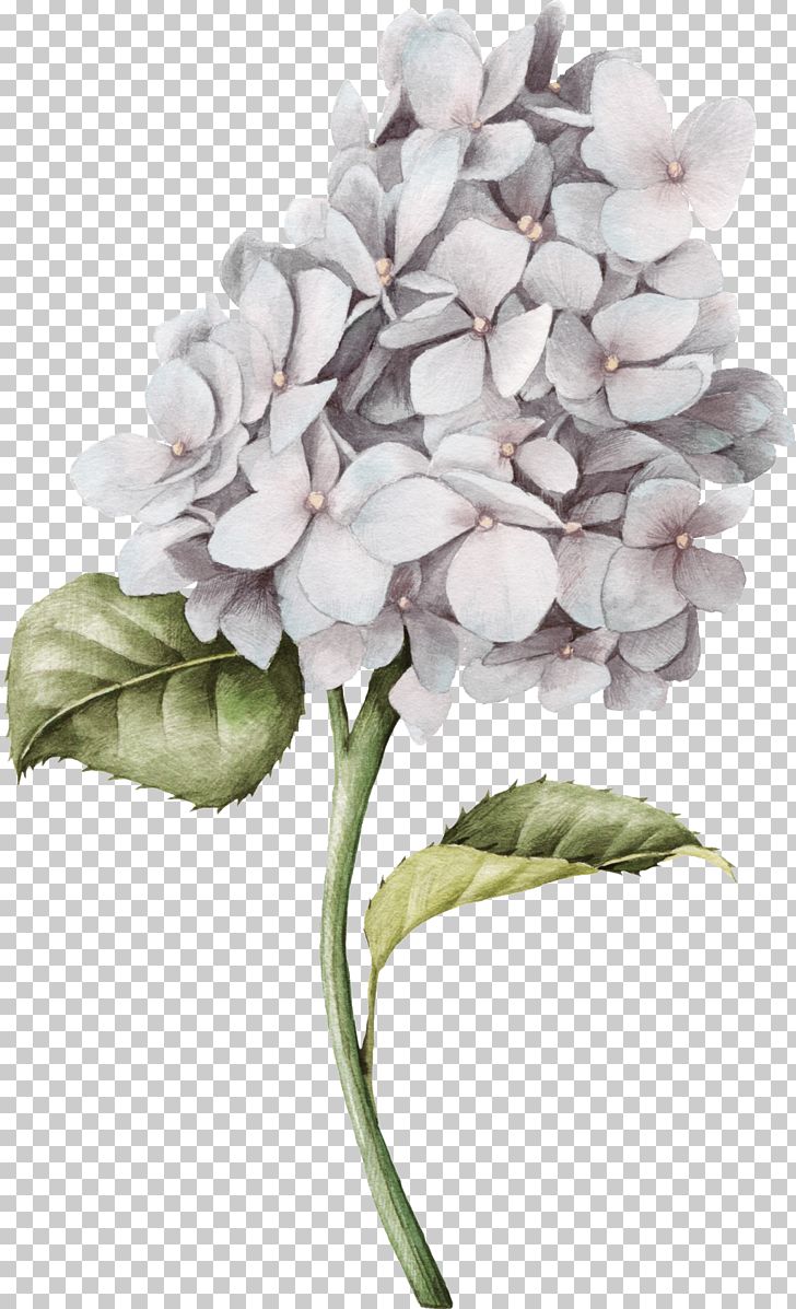 Watercolor Painting White House PNG, Clipart, Cornales, Cut Flowers, Flower, Flower Arranging, Flowers Free PNG Download