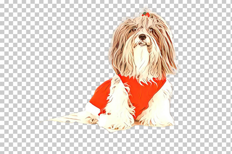 Dog Shih Tzu Petit Basset Griffon Vendéen Lhasa Apso Tibetan Terrier PNG, Clipart, Dog, Lhasa Apso, Shih Tzu, Tibetan Terrier Free PNG Download