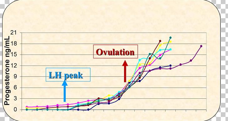 dog-progesterone-canine-reproduction-ovulation-gestation-png-clipart