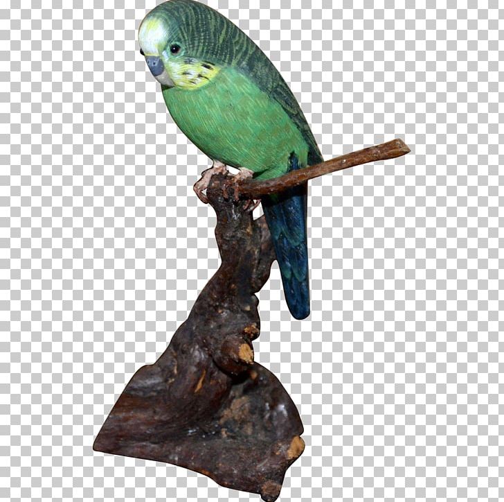Parakeet Feather Pet Beak PNG, Clipart, Animals, Beak, Bird, Carve, Common Pet Parakeet Free PNG Download