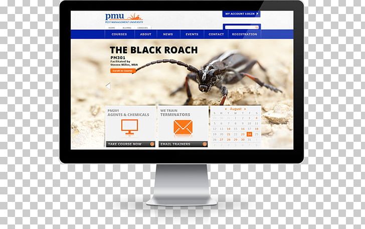 Web Development Responsive Web Design Multimedia PNG, Clipart, Brand, Code, Computer Software, Display Advertising, Display Device Free PNG Download