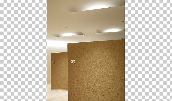 Light Fixture Daylighting Property Ceiling PNG, Clipart, Angle, Ceiling, Daylighting, Floor, Interior Design Free PNG Download