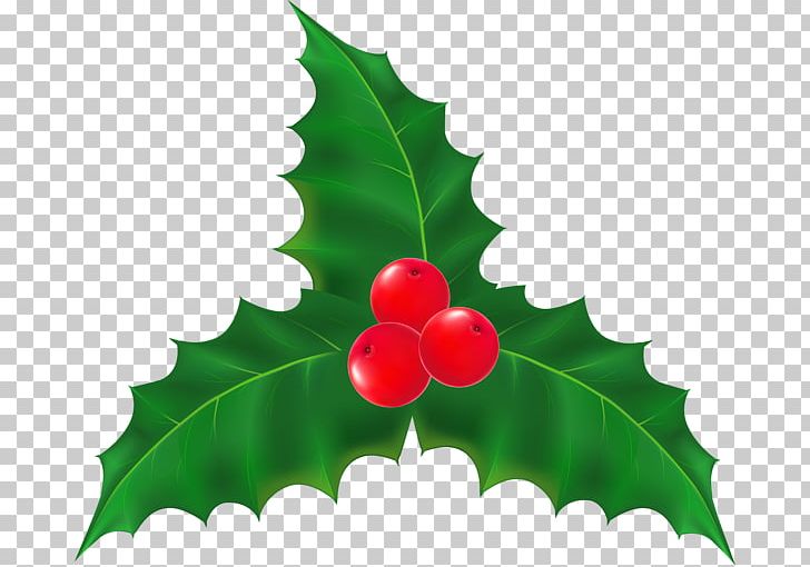 Mistletoe Plant Christmas PNG, Clipart, Aquifoliaceae, Aquifoliales, Balloon, Berry, Cherry Free PNG Download