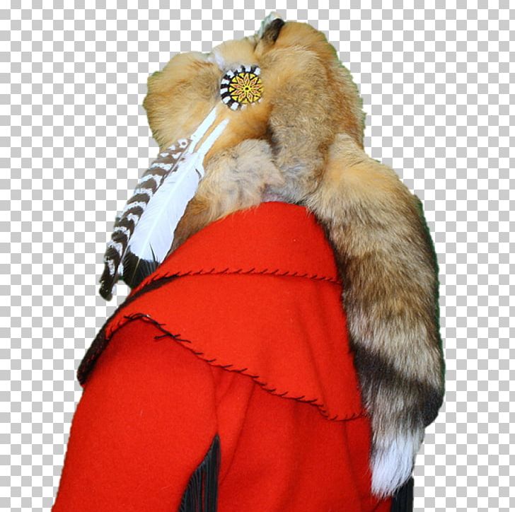 Red Fox Lynx Fur Clothing PNG, Clipart, Animals, Clothing, Coyote, Fashion, Fox Free PNG Download
