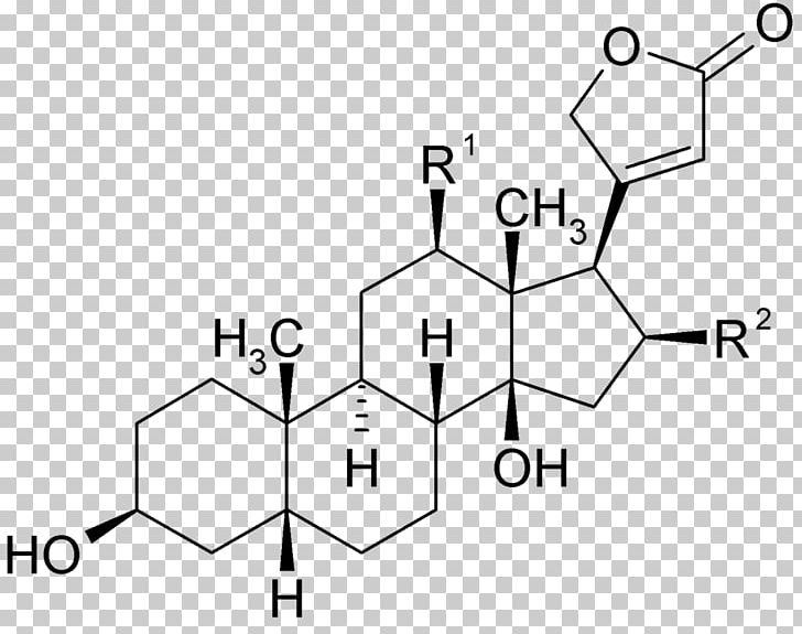 The Great Testosterone Myth Estradiol Estrogen Hormone Structural Formula PNG, Clipart, Acid, Angle, Area, Bile Acid, Black And White Free PNG Download