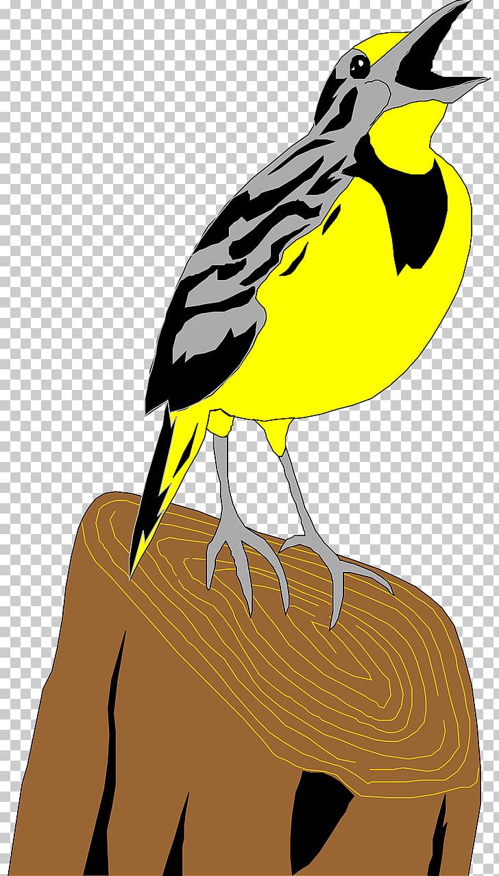 Flappet Lark Bird PNG, Clipart, Animals, Beak, Bird, Birds, Black And White Free PNG Download