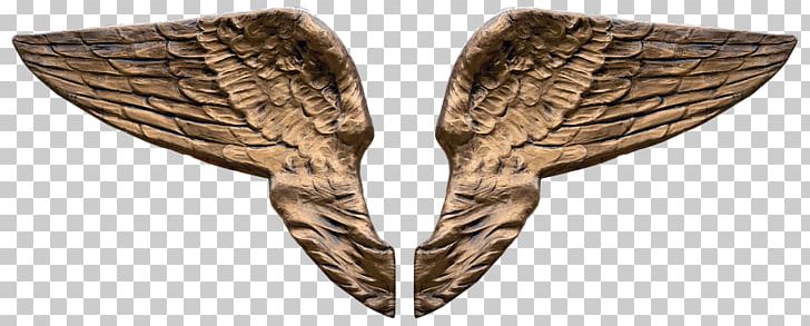 Angel Wing 3D Computer Graphics PNG, Clipart, 3d Computer Graphics, 3d Modeling, Angel, Angel Wing, Beak Free PNG Download