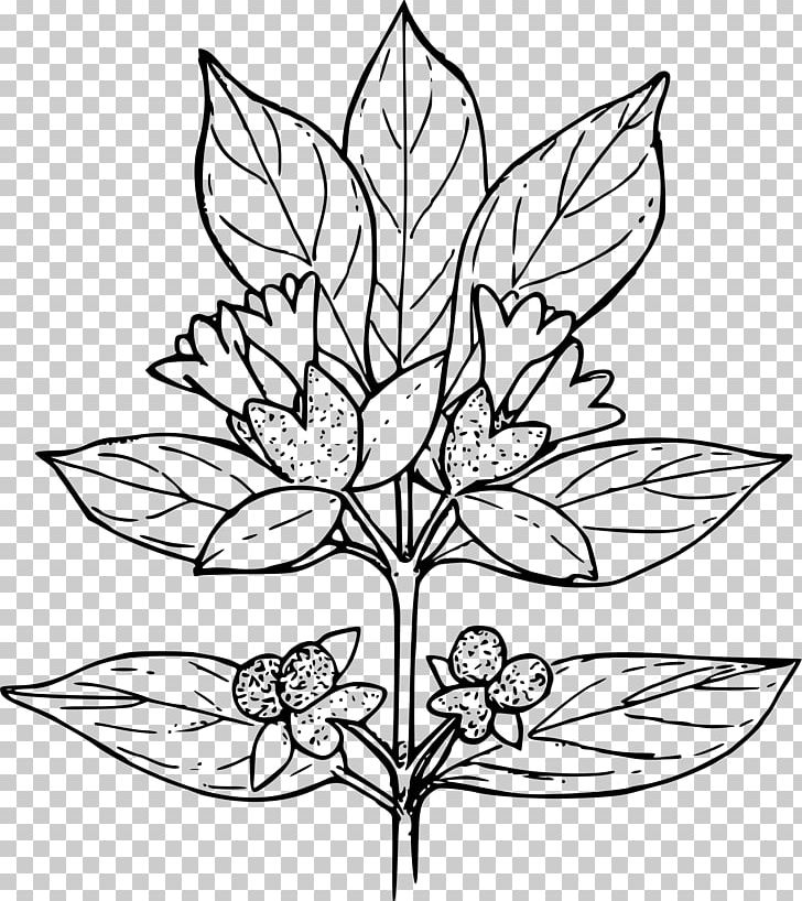 Coloring Book Plant Child Shrub PNG, Clipart, Artwork, Branch, Child, Color, Flower Free PNG Download