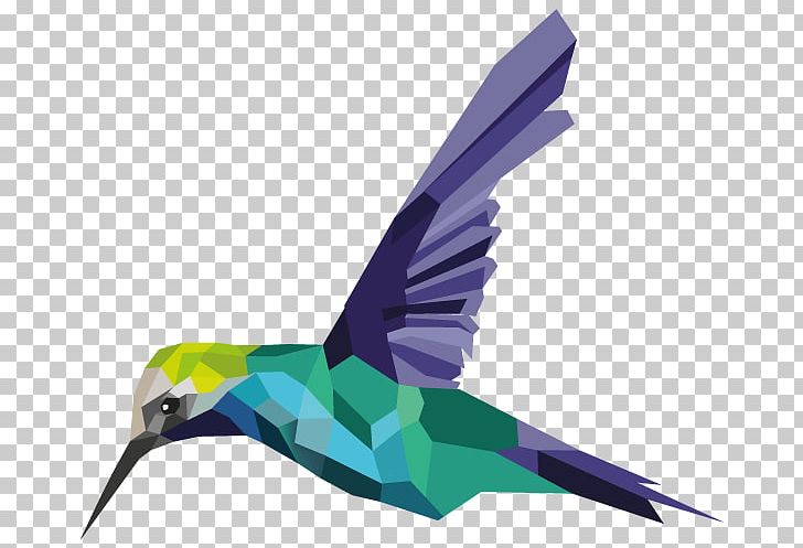 Hummingbird Feather Fauna Beak Parakeet PNG, Clipart, Beak, Bird, Colibri, Fauna, Feather Free PNG Download
