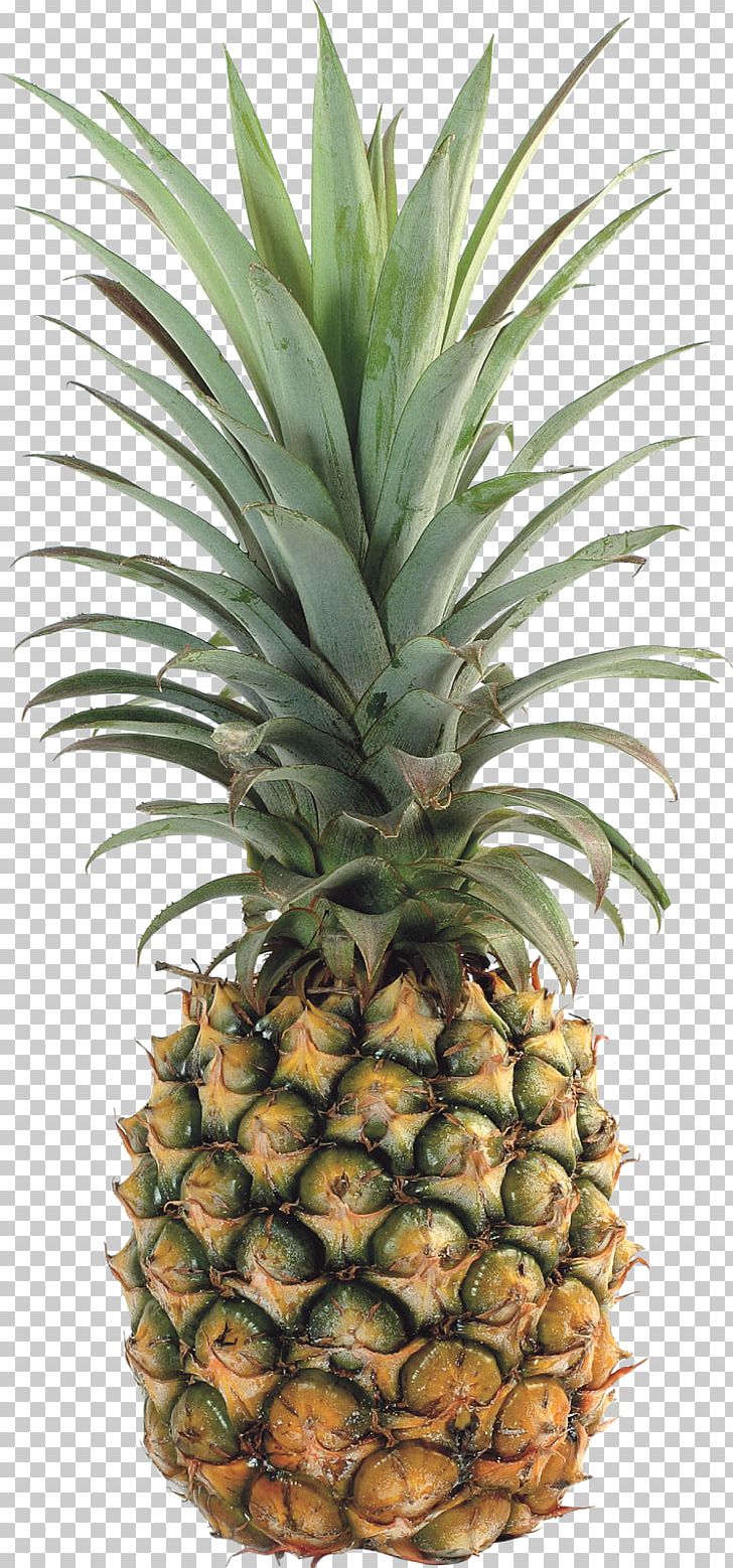 Pineapple Upside-down Cake Tropical Fruit Food PNG, Clipart, Ananas, Bromeliaceae, Computer Icons, Flowerpot, Food Free PNG Download