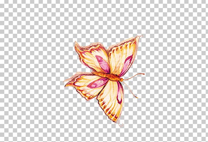 Butterfly Petal Pattern PNG, Clipart, Blue Butterfly, Butterflies, Butterfly, Butterfly Group, Butterfly Wings Free PNG Download