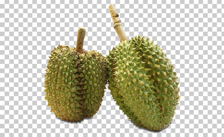 Durian Rayong Cempedak Fruit Langsat PNG, Clipart, Breadnut, Cassia, Cassia Javanica, Cempedak, Chanthaburi Province Free PNG Download