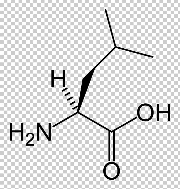 Leucine Branched-chain Amino Acid Proteinogenic Amino Acid Valine PNG, Clipart, Amino Acid, Angle, Area, Black And White, Branchedchain Amino Acid Free PNG Download